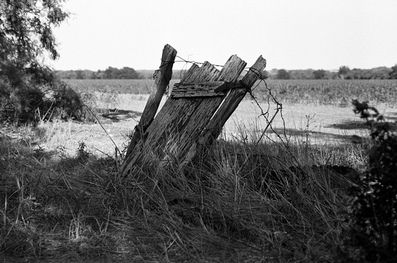 p217599296-3.jpg